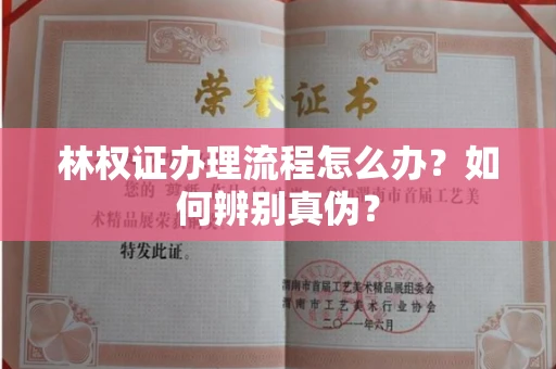 全国林权证办理流程怎么办?如何辨别真伪?